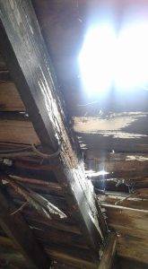 Integrity Services (15)