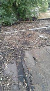 Integrity Services (19)