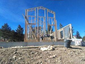 Integrity Services (20)