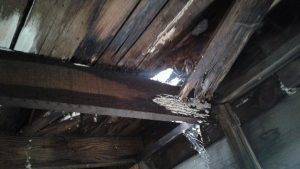 Integrity Services (22)